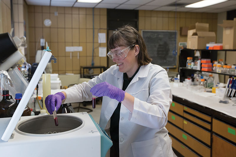 Graduate student Elizabeth Bowles works in Schrenk Hall for research related to red blood cells on Tuesday March 15, 2016. Sam O'Keefe/Missouri S&T